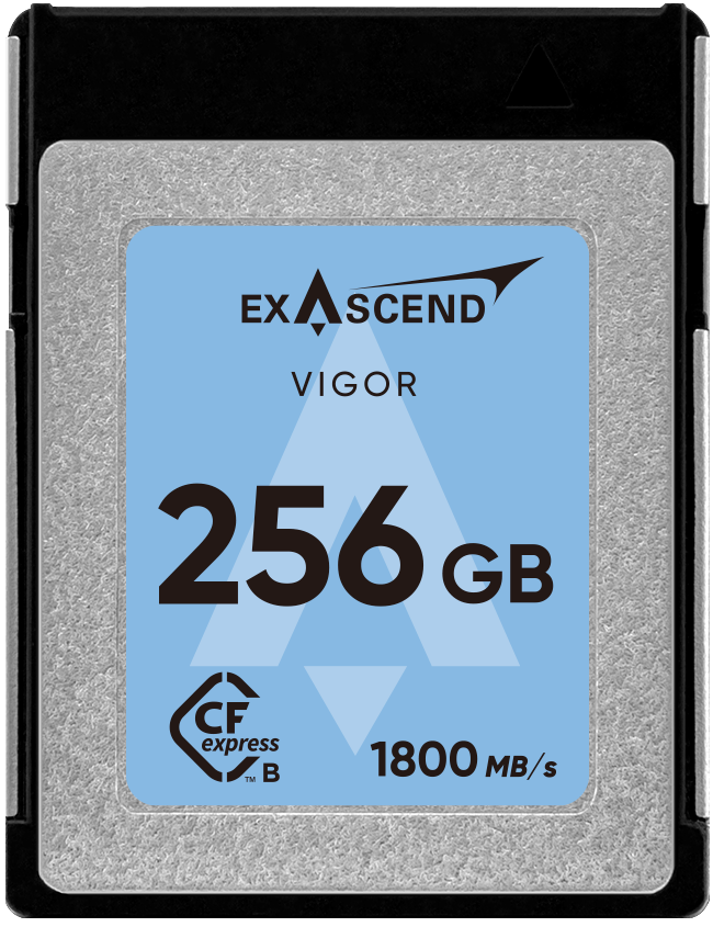 Karta pamięci Exascend CFexpress 256GB Type B Vigor (1800MB/s)