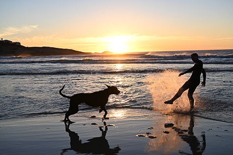 Obiektyw Nikkor Z 24-70mm f/2.8 S + dobierz filtr ochronny Marumi za 1 zł | Oficjalna polska dystrybucja
