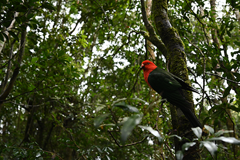 Obiektyw Nikkor Z 14-30mm f/4 S