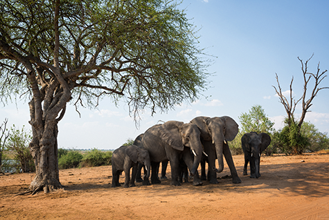 Obiektyw Nikkor Z 14-30mm f/4 S