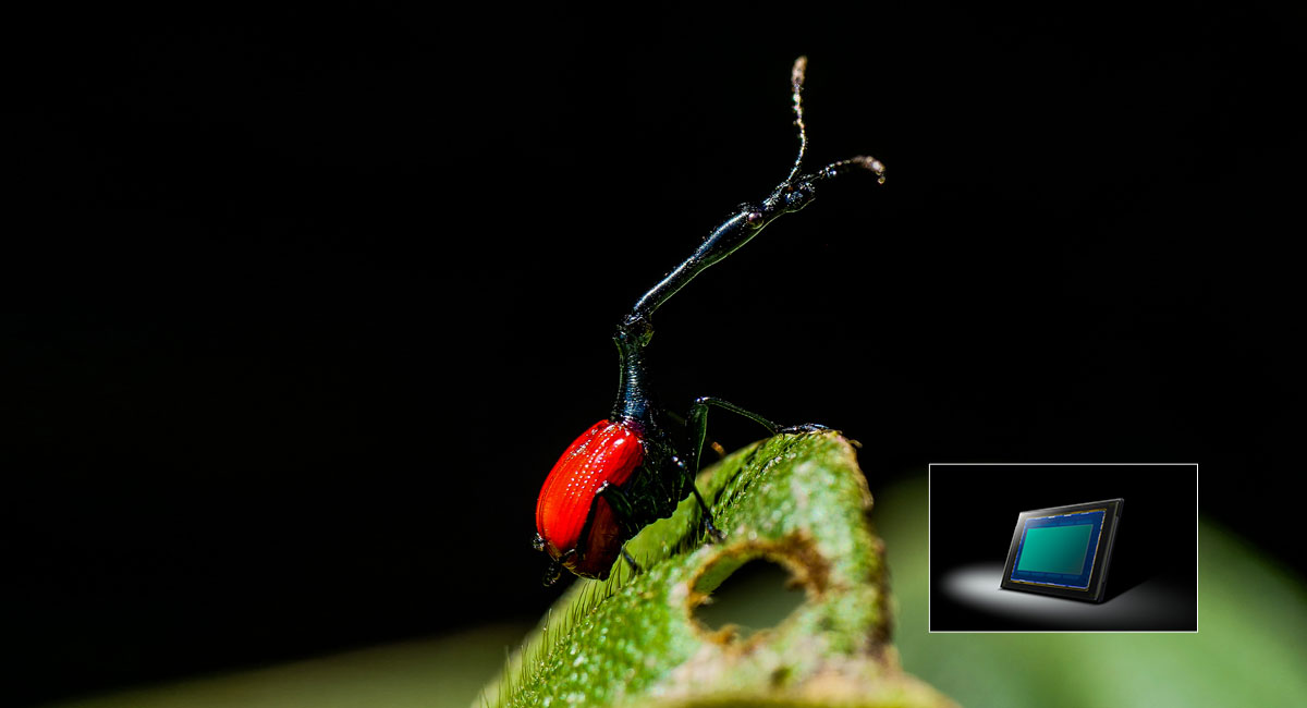 Bezlusterkowiec Panasonic Lumix G9 (body) - Uszkodzone opakowanie