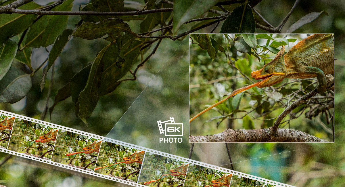 Bezlusterkowiec Panasonic Lumix G9 (body) - Uszkodzone opakowanie