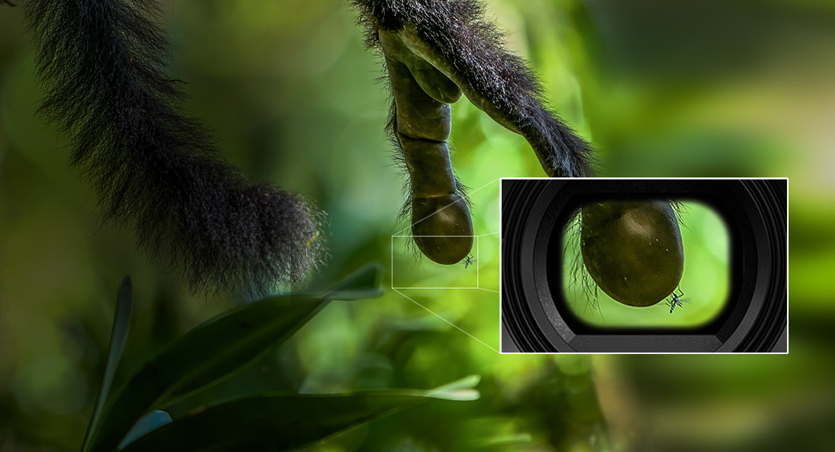 Bezlusterkowiec Panasonic Lumix G9 (body) - Uszkodzone opakowanie