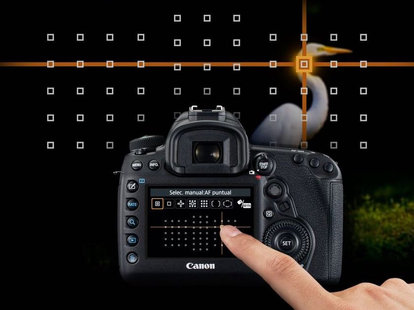 Lustrzanka Canon EOS 5D Mark IV + Canon 70-300mm f/4-5.6L IS USM