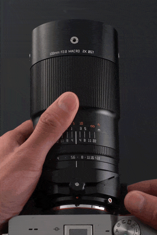 Obiektyw TTArtisan 100mm f/2.8 Makro x2 Tilt-Shift - mocowanie Canon RF