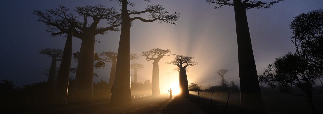 Bezlusterkowiec Nikon Z7