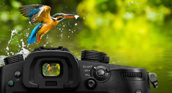 Bezlusterkowiec Panasonic Lumix DC-GH5S