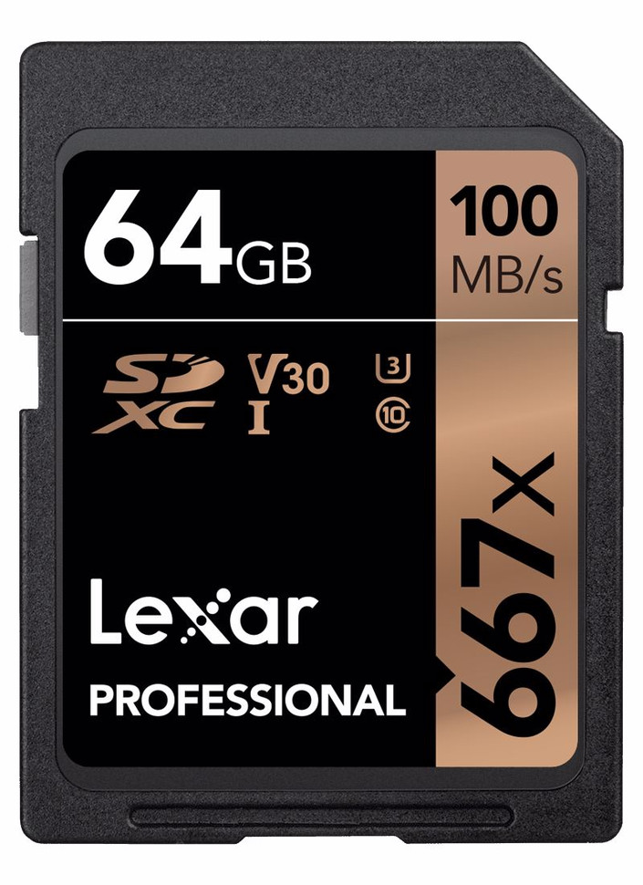 Karta pamięci Lexar SDXC 64GB 667x (100MB/s) Professional